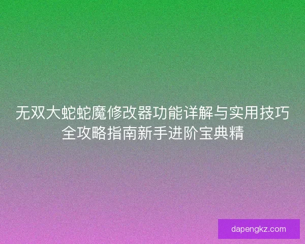 无双大蛇蛇魔修改器功能详解与实用技巧全攻略指南新手进阶宝典精