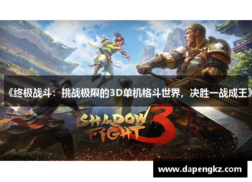 《终极战斗：挑战极限的3D单机格斗世界，决胜一战成王》