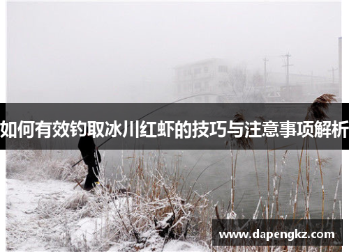 如何有效钓取冰川红虾的技巧与注意事项解析